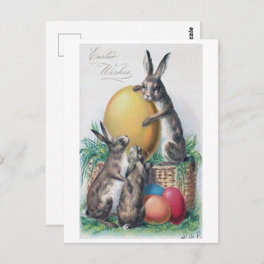  paashaas ei Briefkaart (Voorkant / Achterkant)