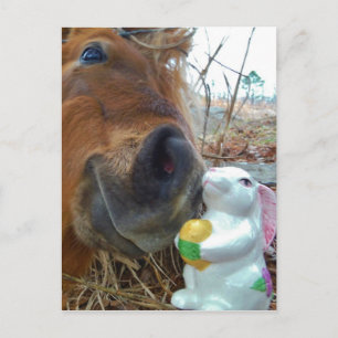Paashaas en Bruin paard Feestdagenkaart
