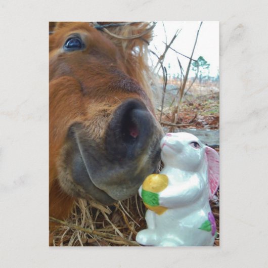 Paashaas en Bruin paard Feestdagenkaart (Voorkant)