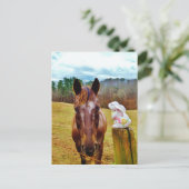 Paashaas en Bruin paard Feestdagenkaart (Staand voorkant)