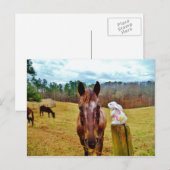 Paashaas en Bruin paard Feestdagenkaart (Voorkant / Achterkant)