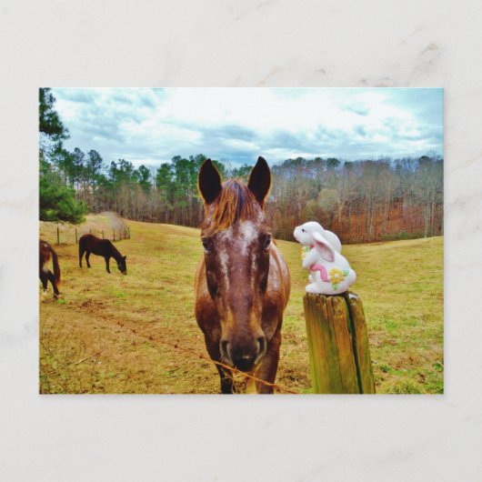 Paashaas en Bruin paard Feestdagenkaart (Voorkant)