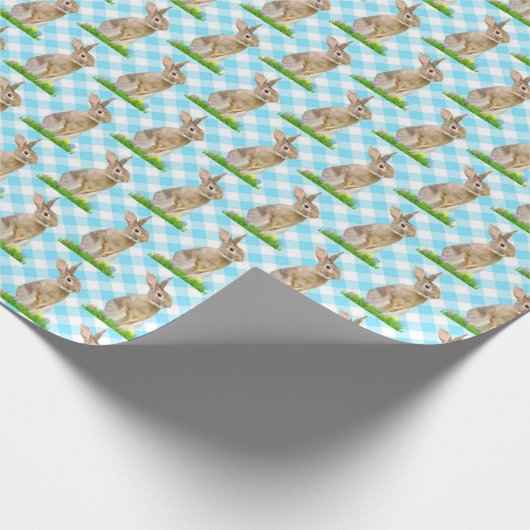 paashaas en eieren op Gingham Cadeaupapier (Hoek)