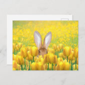 Paashaas Feestdagenkaart (Voorkant / Achterkant)