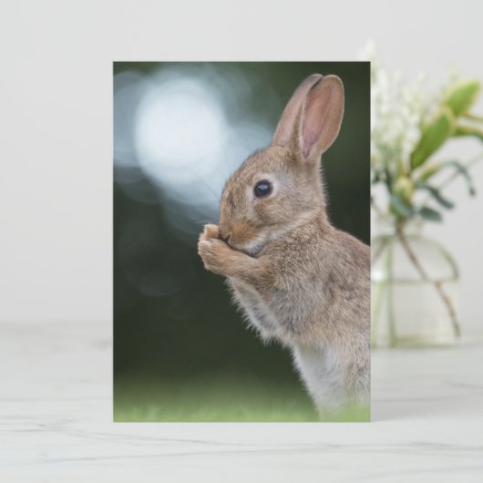 Paashaas fotokaart save the date (Staand voorkant)