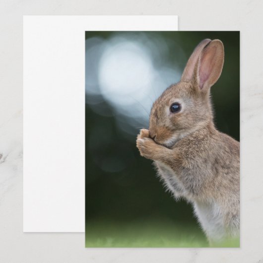 Paashaas fotokaart save the date (Voorkant / Achterkant)