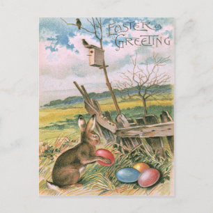 Paashaas Gekleurd Ei Vogelhuisveld Feestdagenkaart
