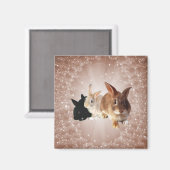 Paashaas magische magneet (Voorkant / Achterkant)