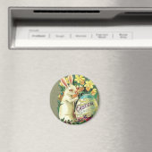 paashaas magneet (Insitu (Vaatwasser))