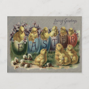 Paashaas mand Gekleurd Ei Zonnebloem Veld Feestdagenkaart