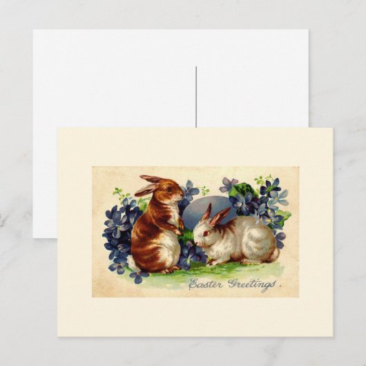  Paashaas Post Kaart (Voorkant / Achterkant)