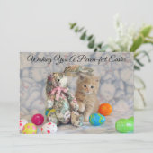 Paashaas van Buffington - Kat - Plat Kaart (Staand voorkant)