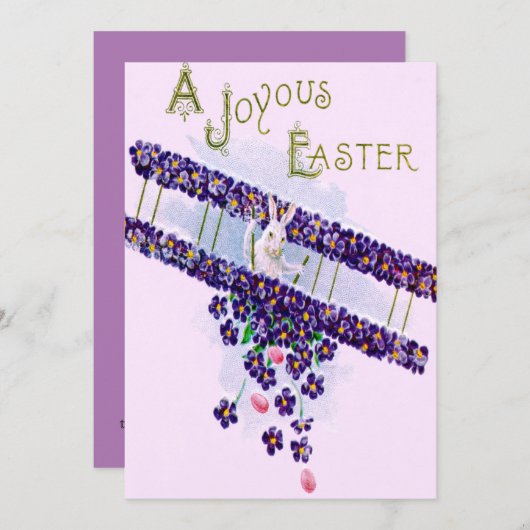 paashaas vliegtuig gekleurd ei kaart (Voorkant / Achterkant)