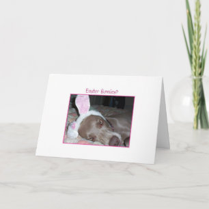 Paashazen? Bah Humbug! Feestdagen Kaart