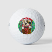 Paashond Golfballen (Voorkant)
