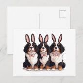 Paashonden Berner Briefkaart (Voorkant / Achterkant)