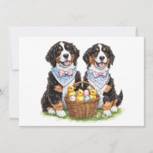 Paashonden Berner Feestdagenkaart