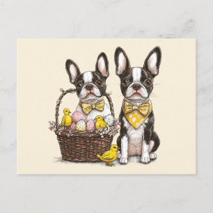 Paashonden van de Boston Terrier Briefkaart