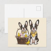 Paashonden van de Boston Terrier Briefkaart (Voorkant / Achterkant)