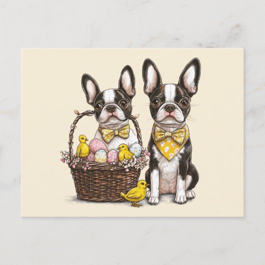 Paashonden van de Boston Terrier Briefkaart (Voorkant)