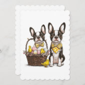 Paashonden van de Boston Terrier Feestdagenkaart (Voorkant / Achterkant)