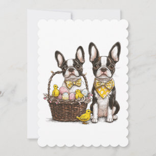 Paashonden van de Boston Terrier Feestdagenkaart