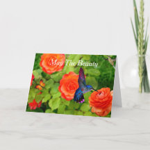 Paashummingbird Beauty