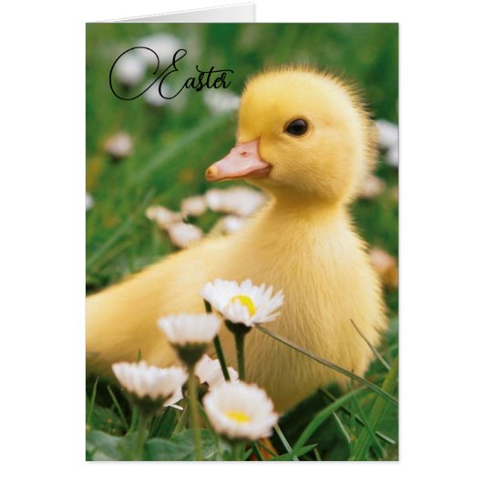 Paaskaart - Kute Ducking (Voorkant)
