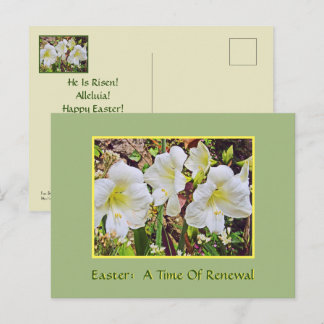 PAASKAART/WITTE DAGLELIE BRIEFKAART