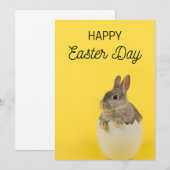 Paaskaarten - Paashaas en Kuiken Feestdagenkaart (Voorkant / Achterkant)