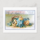 paaskarper met kippen briefkaart (Voorkant)
