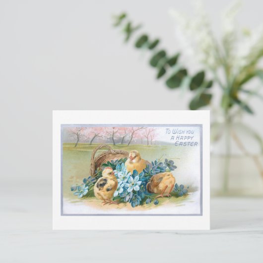 paaskarper met kippen briefkaart (Staand voorkant)