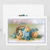  paaskarper met kippen feestdagenkaart (Voorkant / Achterkant)