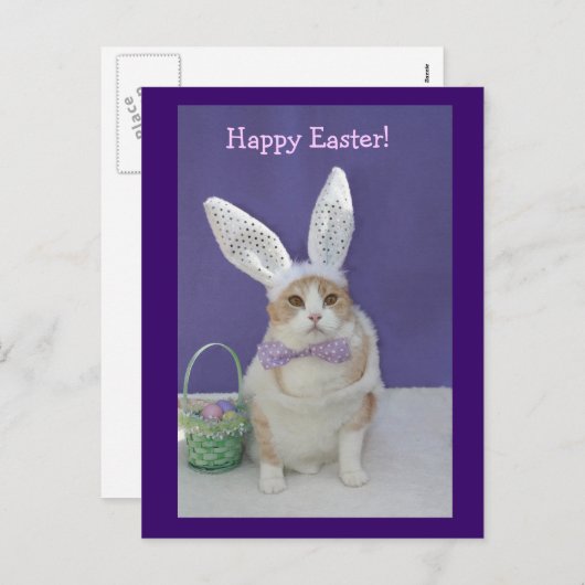 PaasKat Feestdagenkaart (Voorkant / Achterkant)