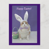 PaasKat Feestdagenkaart (Voorkant)