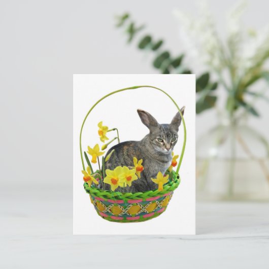 Paaskat in het Daffodils Briefkaart (Staand voorkant)