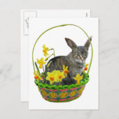 Paaskat in het Daffodils Briefkaart (Voorkant / Achterkant)