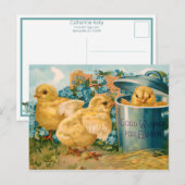 paaskip en vergeet-me-nots briefkaart (Voorkant / Achterkant)