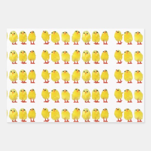 Paaskip Inpakpapier Vel (Voorkant)