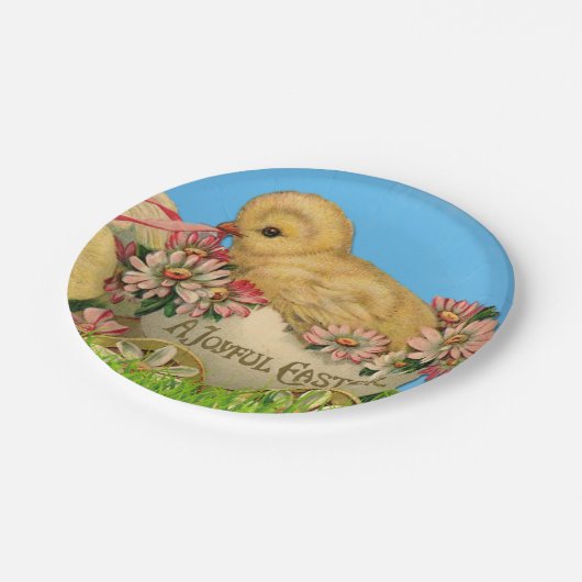  paaskip met blauwe hemel en paaseieren papieren bordje (Gekanteld)