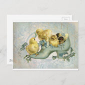  paaskippen bij opstarten briefkaart (Voorkant / Achterkant)