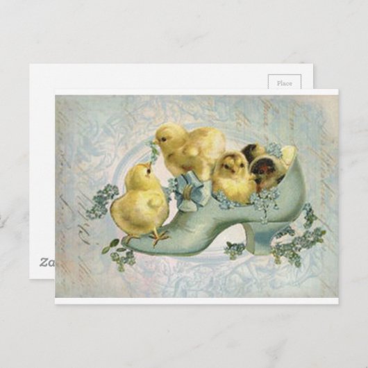  paaskippen bij opstarten briefkaart (Voorkant / Achterkant)