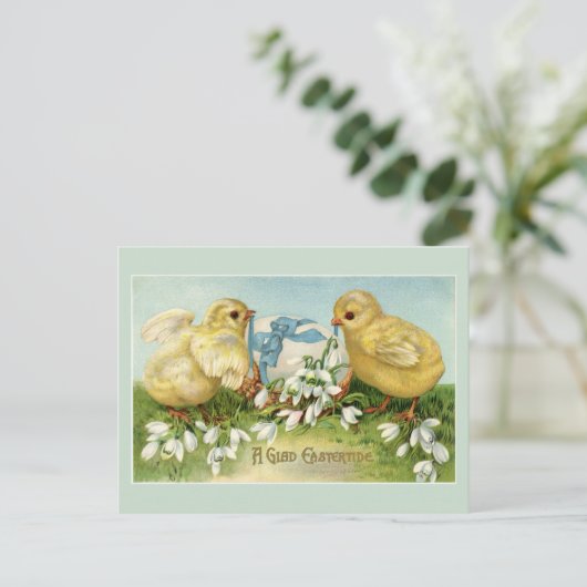  paaskippen briefkaart (Staand voorkant)