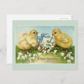  paaskippen briefkaart (Voorkant / Achterkant)