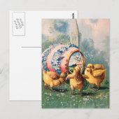 paaskippen briefkaart (Voorkant / Achterkant)