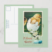 paaskippen en groeten briefkaart (Voorkant / Achterkant)