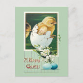 paaskippen en groeten briefkaart (Voorkant)