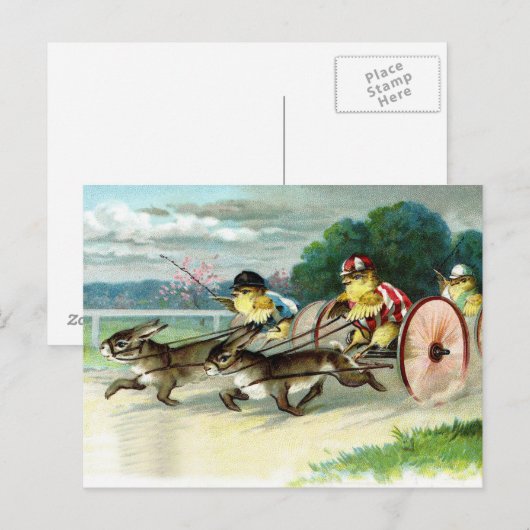  paaskippen en konijnen briefkaart (Voorkant / Achterkant)