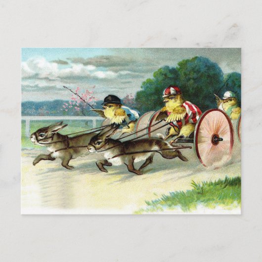  paaskippen en konijnen briefkaart (Voorkant)