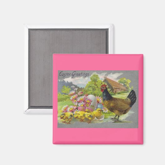  paaskippen en rooster Magnet (Voorkant / Achterkant)